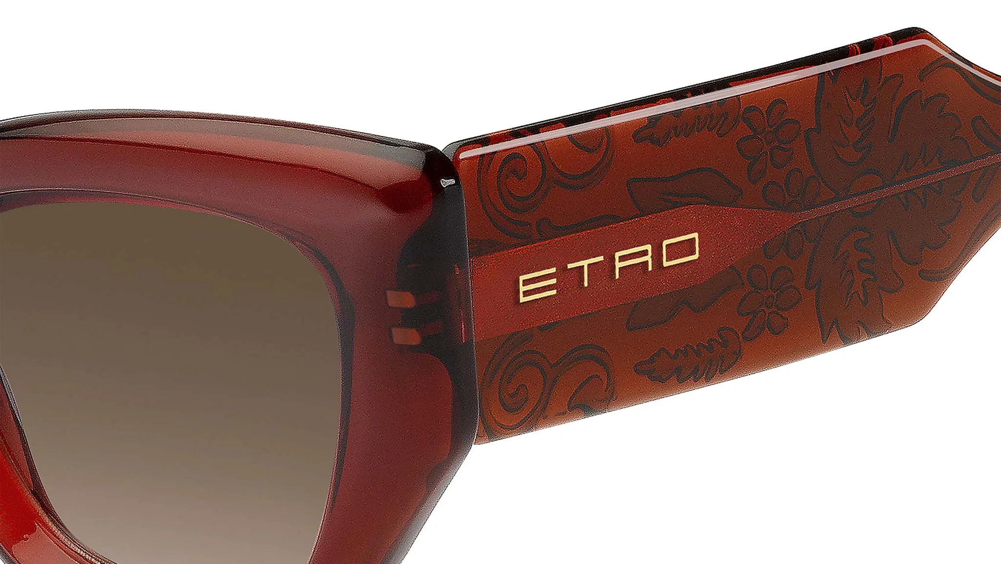 ETRO 0017 Brick Brown